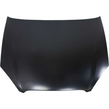 FORD TAURUS HOOD OEM#YF1Z16612AA 2000-2007 PL#FO1230189