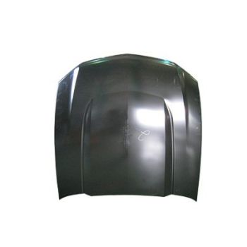 FORD MUSTANG HOOD (ALUM) OEM#AR3Z16612B 2010-2012 PL#FO1230290