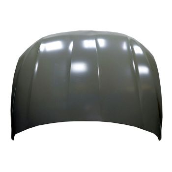 VOLKSWAGEN JETTA SEDAN HOOD OEM#17A823031 2019-2023 PL#VW1230150