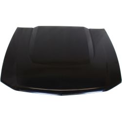 FORD MUSTANG HOOD (BASE/GT)(ALUM)**CAPA** OEM#AR3Z16612B 2010-2012 PL#FO1230290C