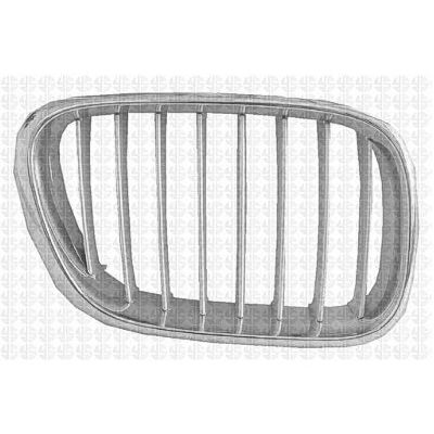 BMW BMW X5 GRILLE RIGHT (Passenger Side) (TITAN)(W/SPORT) OEM#51138250052 2000-2003 PL#BM1200155
