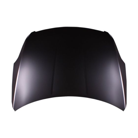 NISSAN(DATSUN) ALTIMA HYBRID HOOD (STEEL) OEM#65100JA00D-PFM 2007-2009 PL#NI1230178